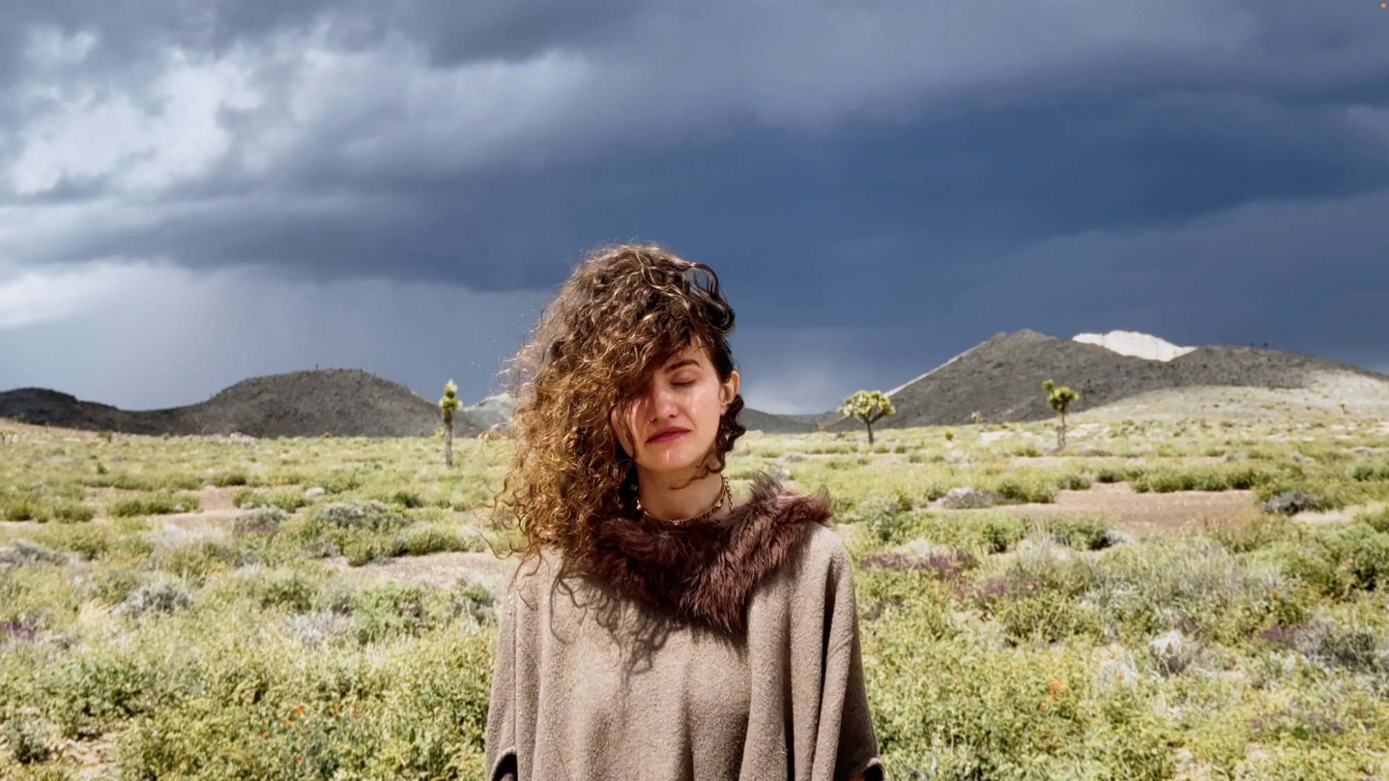 Dulcinée in the desert