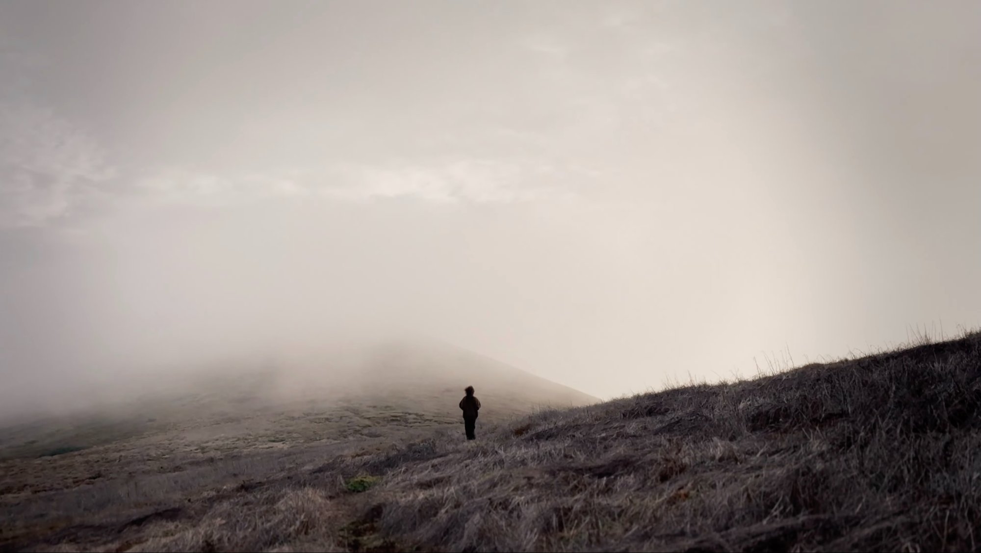 Figure in the fog